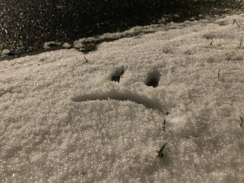 Paul ist gegen... Homeschooling