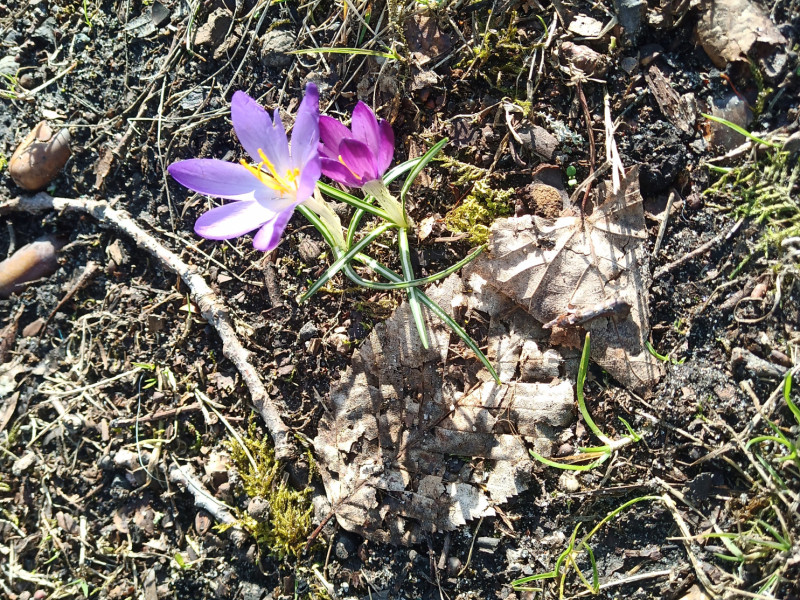 Sophie ist...dankbar